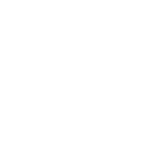 QDS Logo