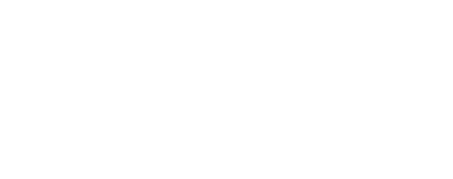 TerraVision