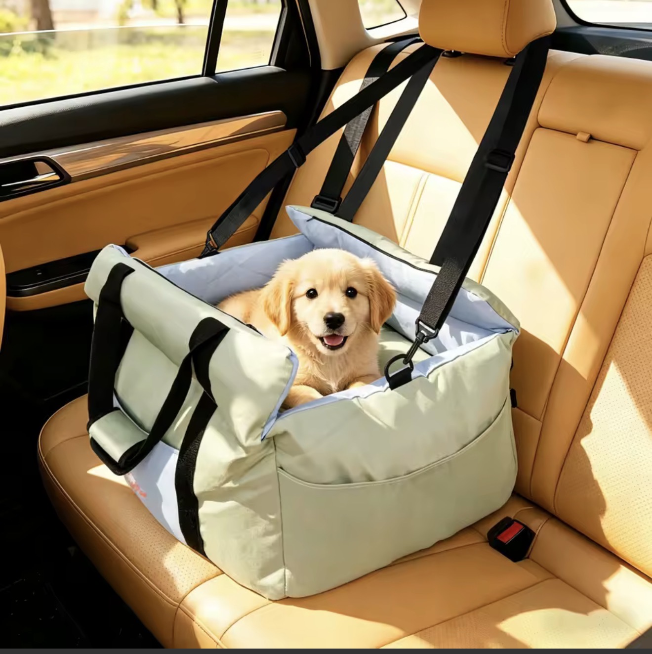 Dog sitting safely in a CATRO booster seat in a car