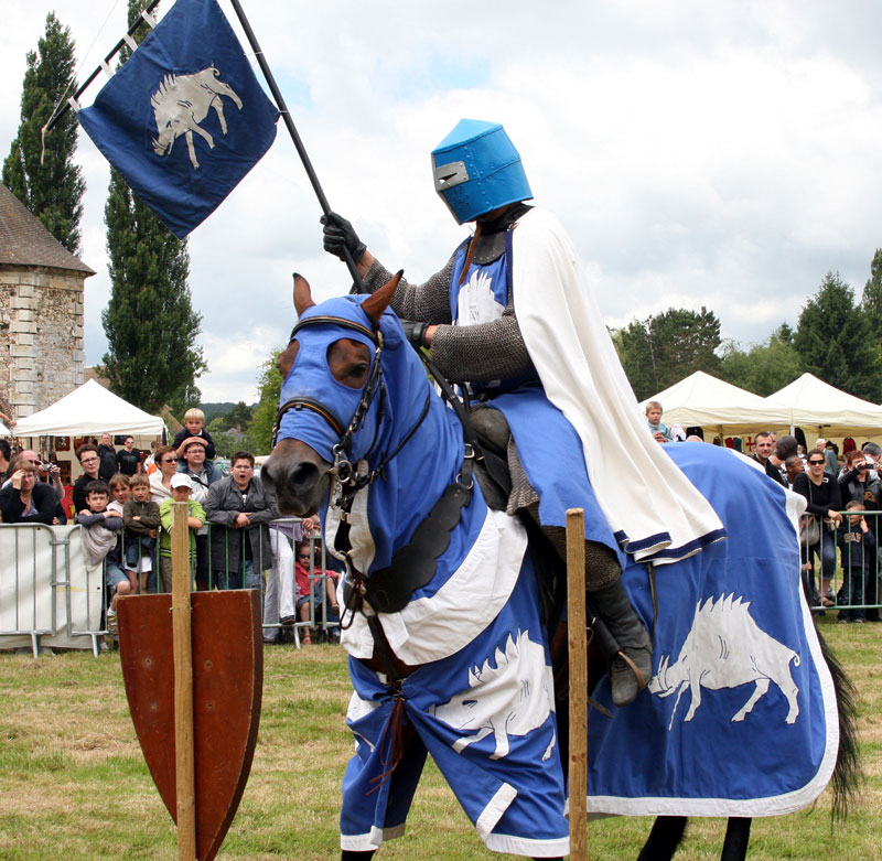La bannière du sanglier