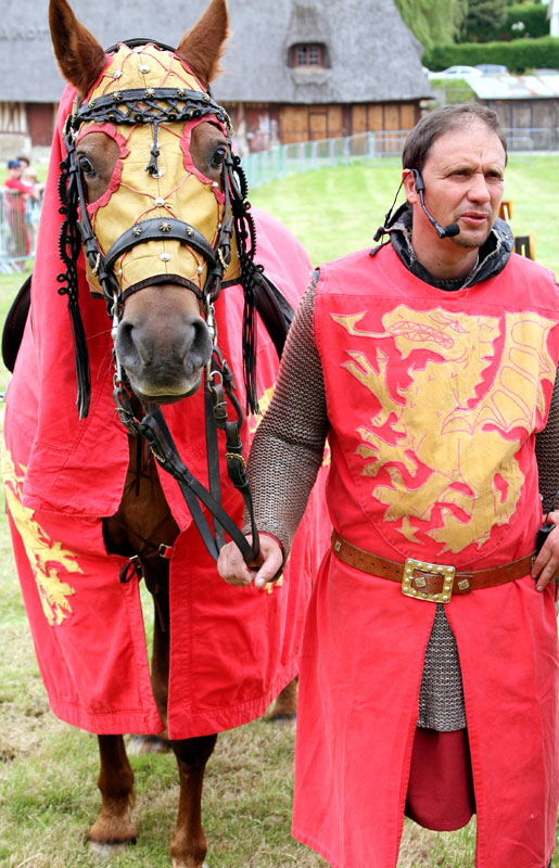Le chevalier au dragon rouge