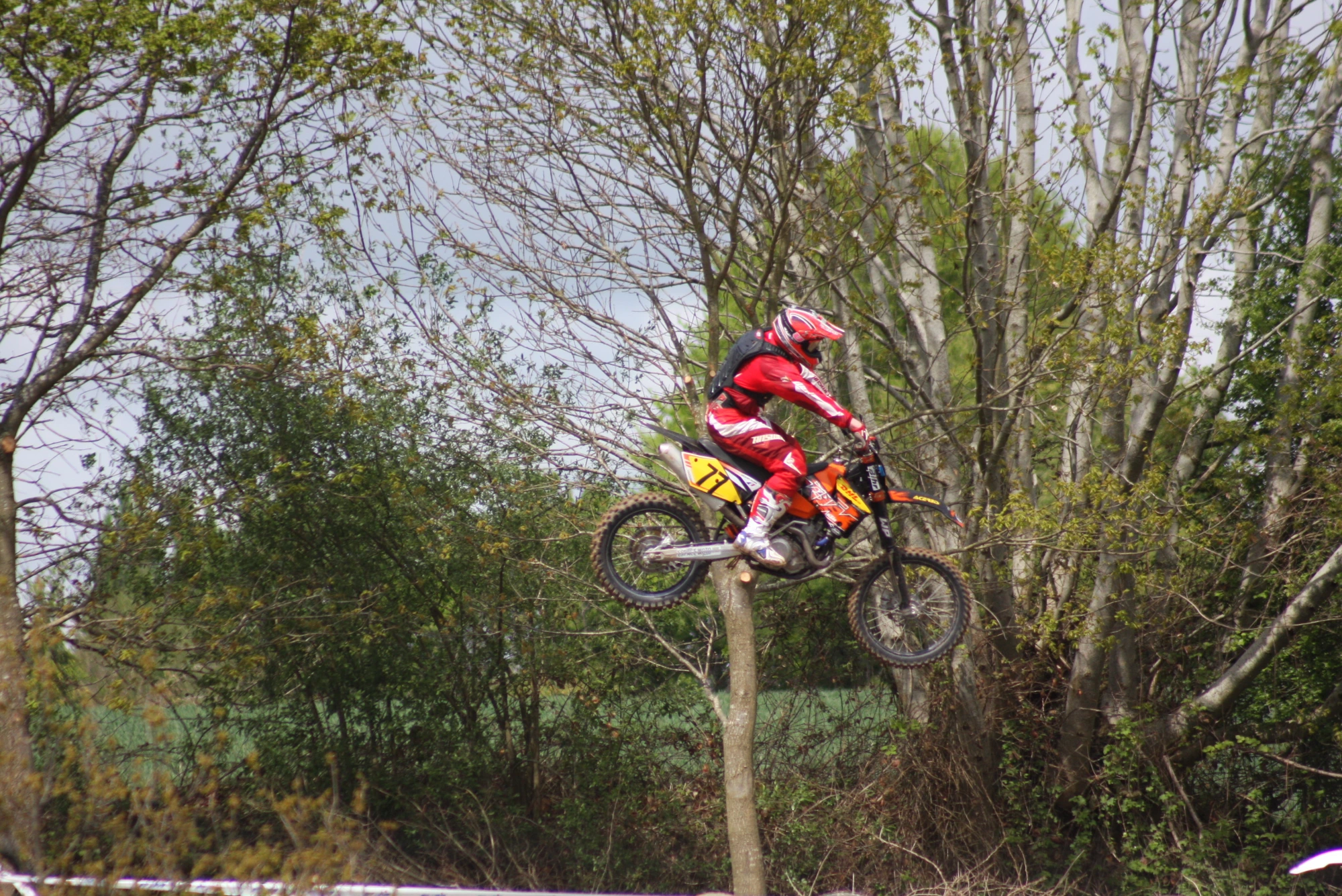 La KTM n°77 dans les peupliers