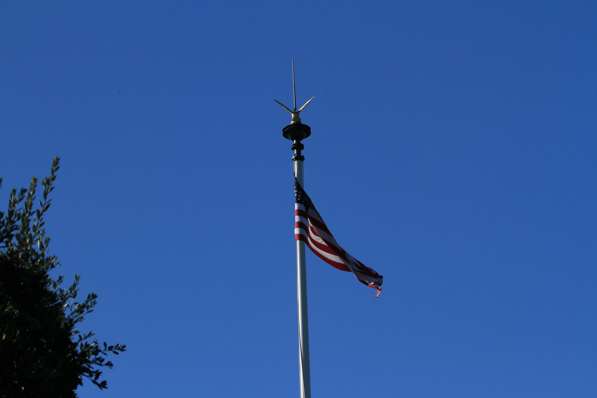 Le Stars and Stripes hissé haut