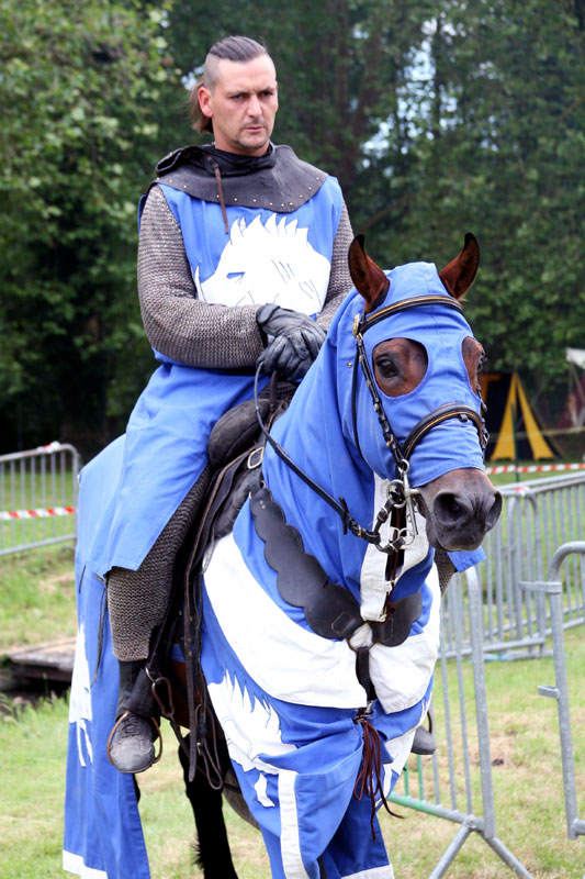 Le chevalier au sanglier blanc