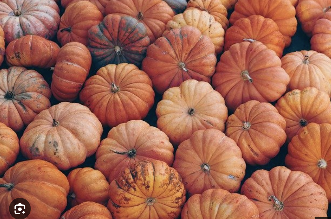 Autumn porch styled with pumpkins
