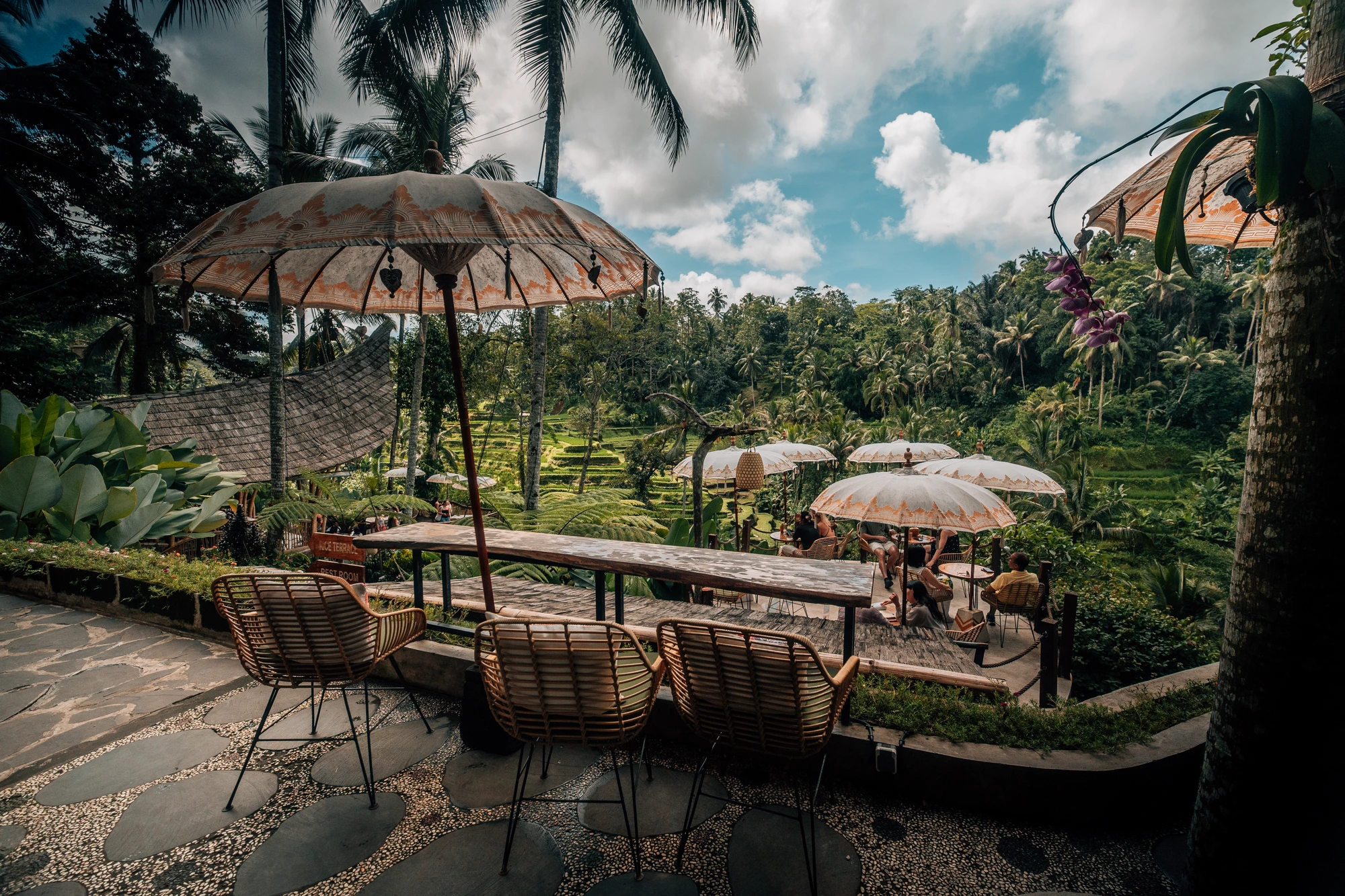 Afternoon Terrace