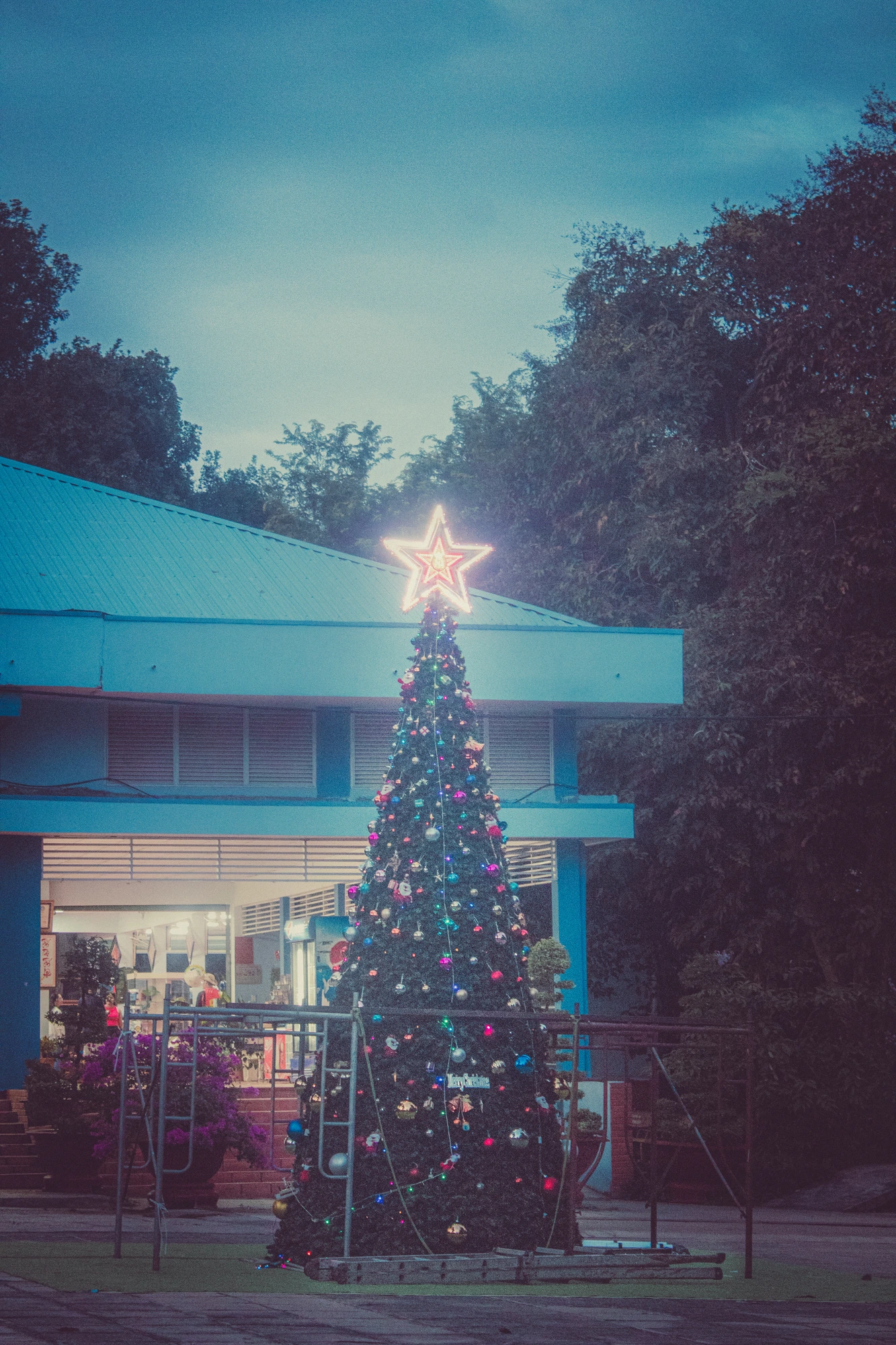 Electric December