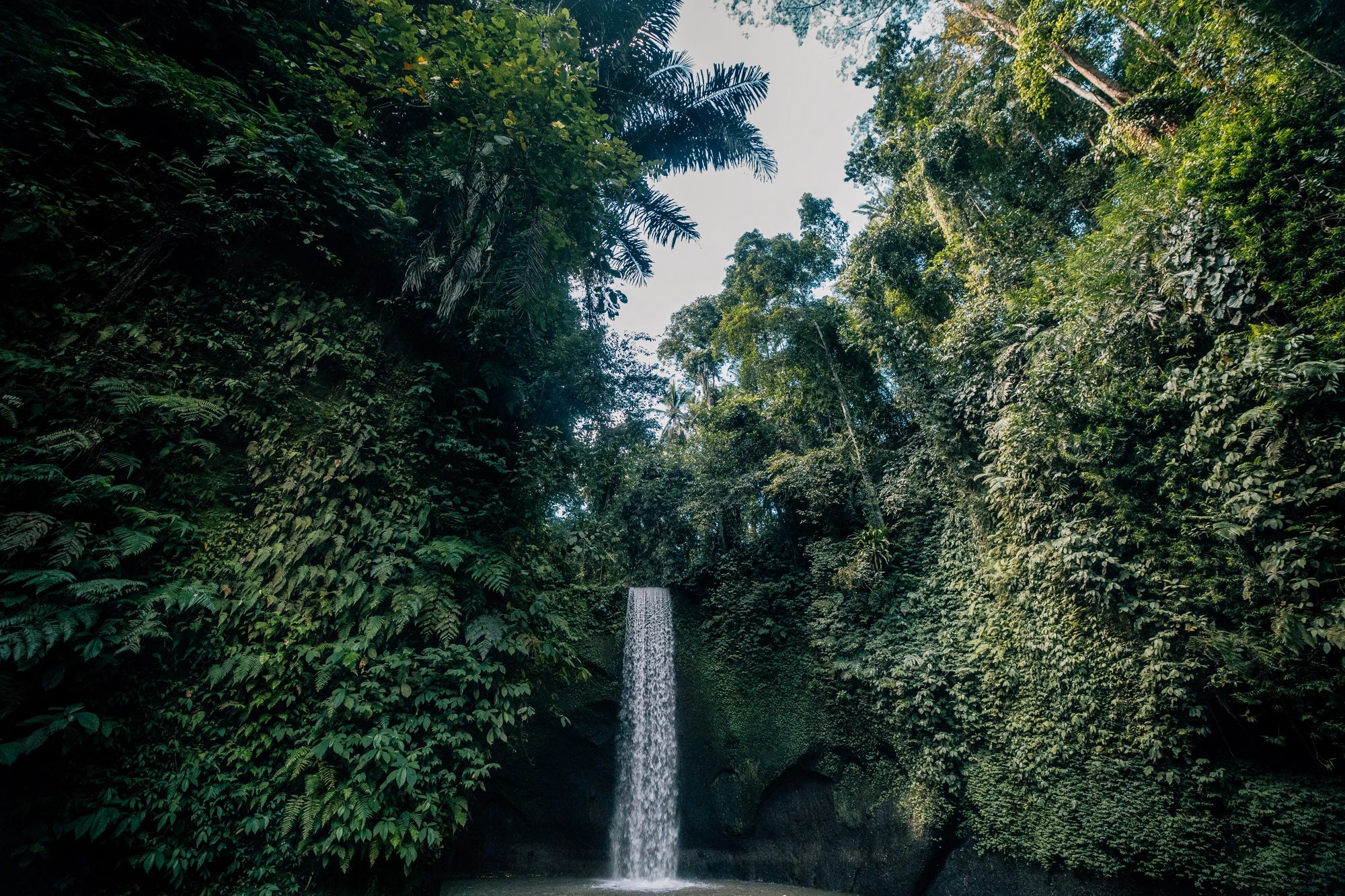 Hidden Falls
