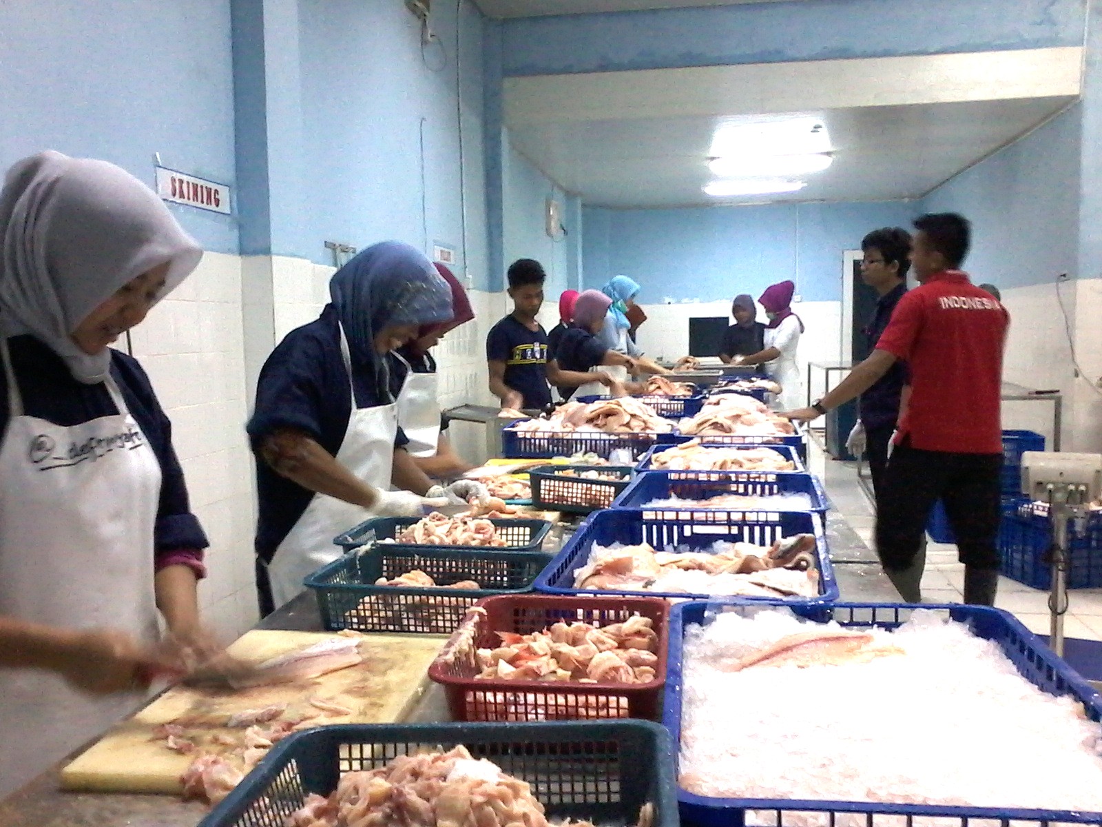 Diproses & dikemas higienis oleh mitra pengolah ikan
