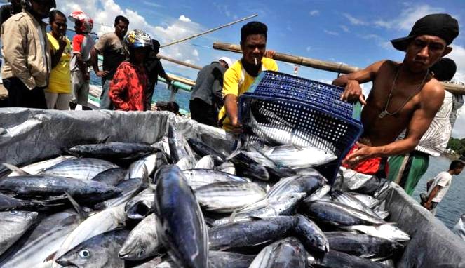 Hasil tangkapan segar langsung dari nelayan Trenggalek
