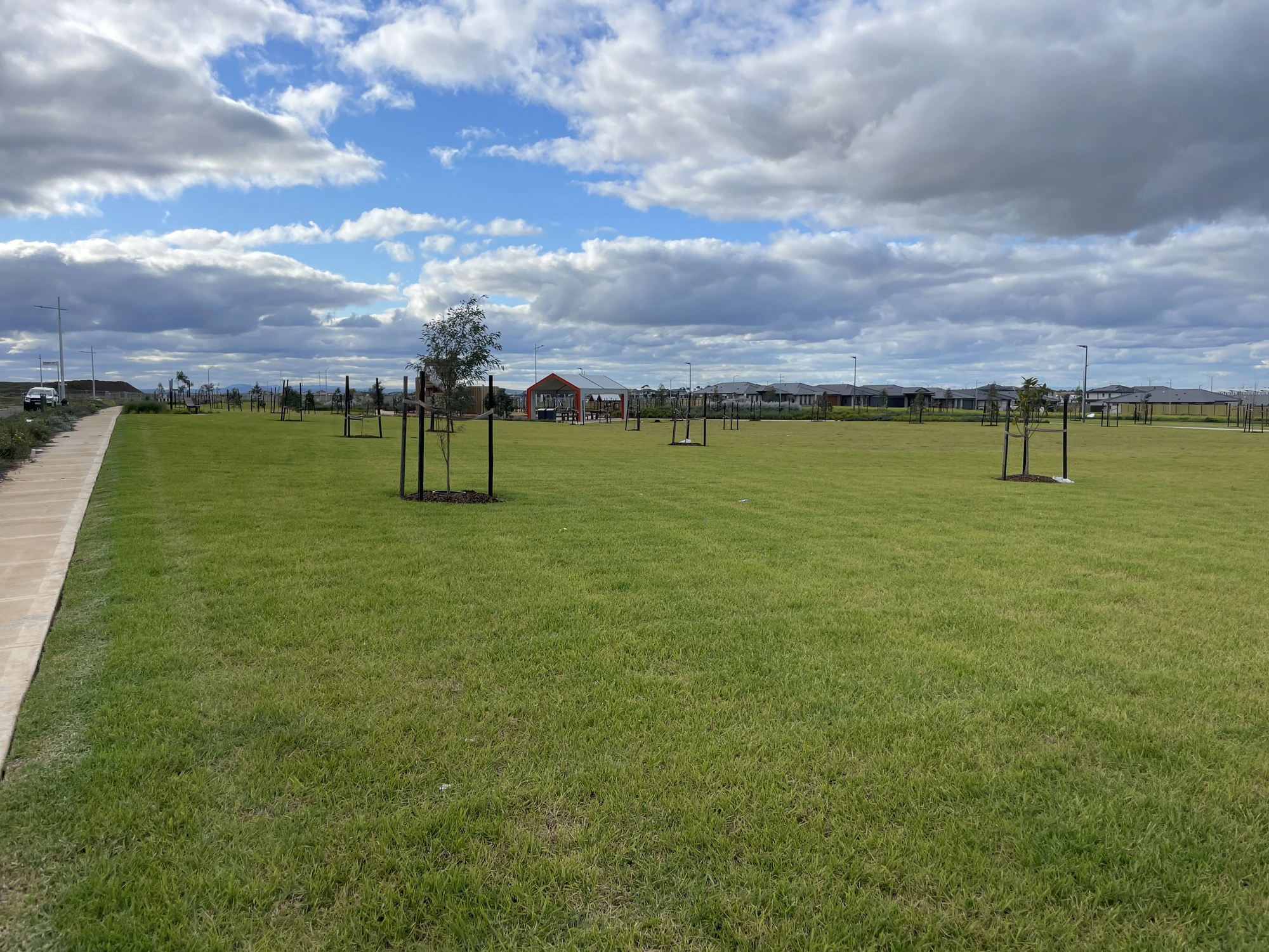 New-estate streetscape — nature strip turf, tree wells & footpaths