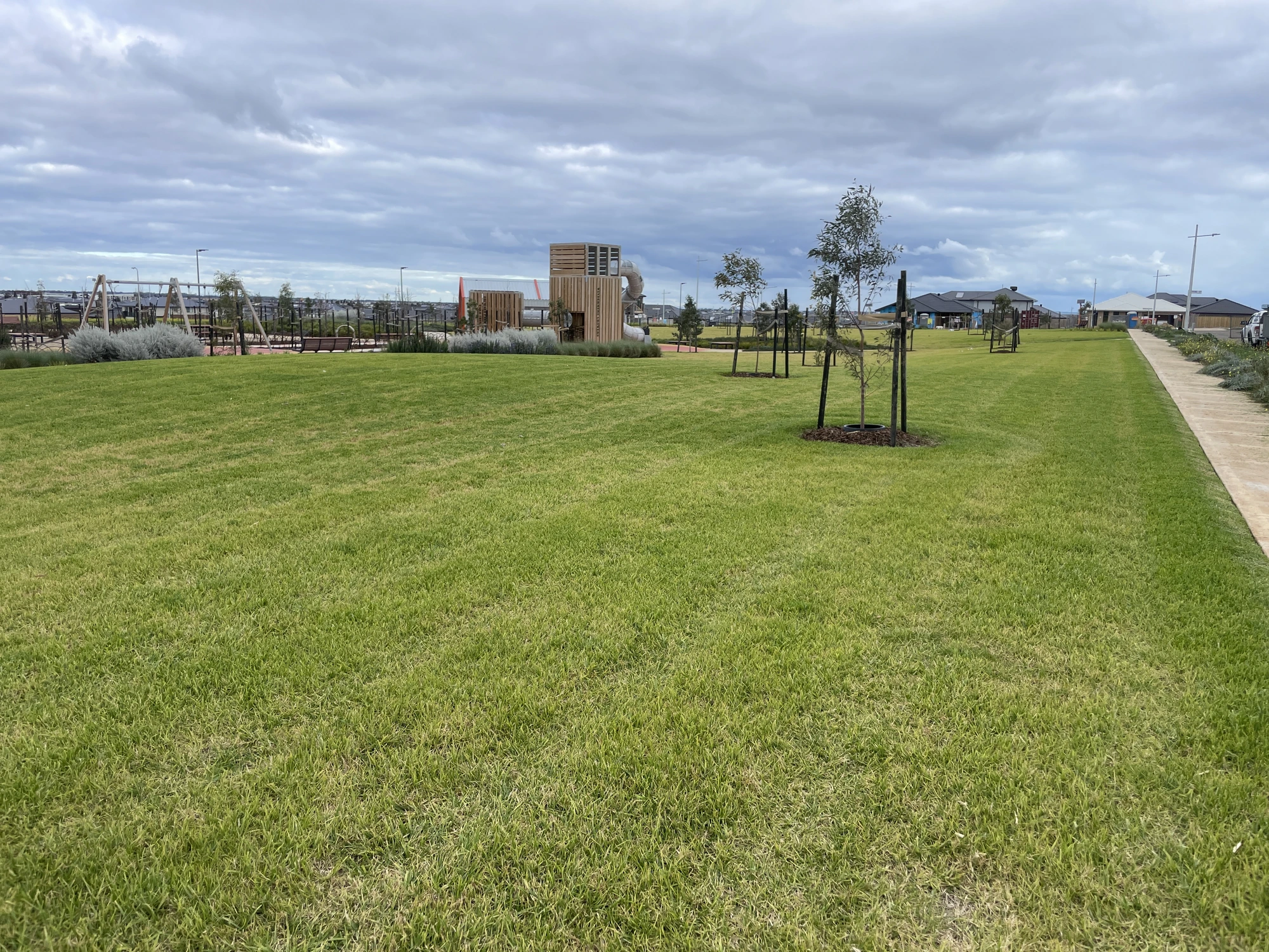 Estate open-space turf install & new tree planting