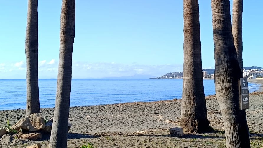 Palms and beach at Casares Costa on the western Costa del Sol