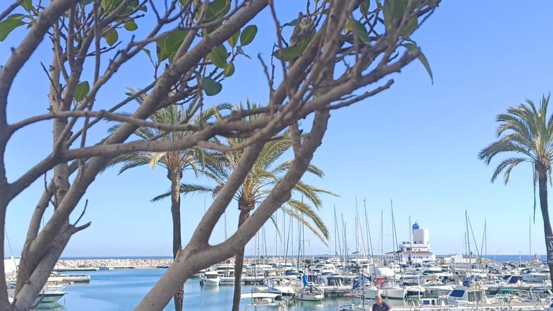 La Duquesa marina on the western Costa del Sol